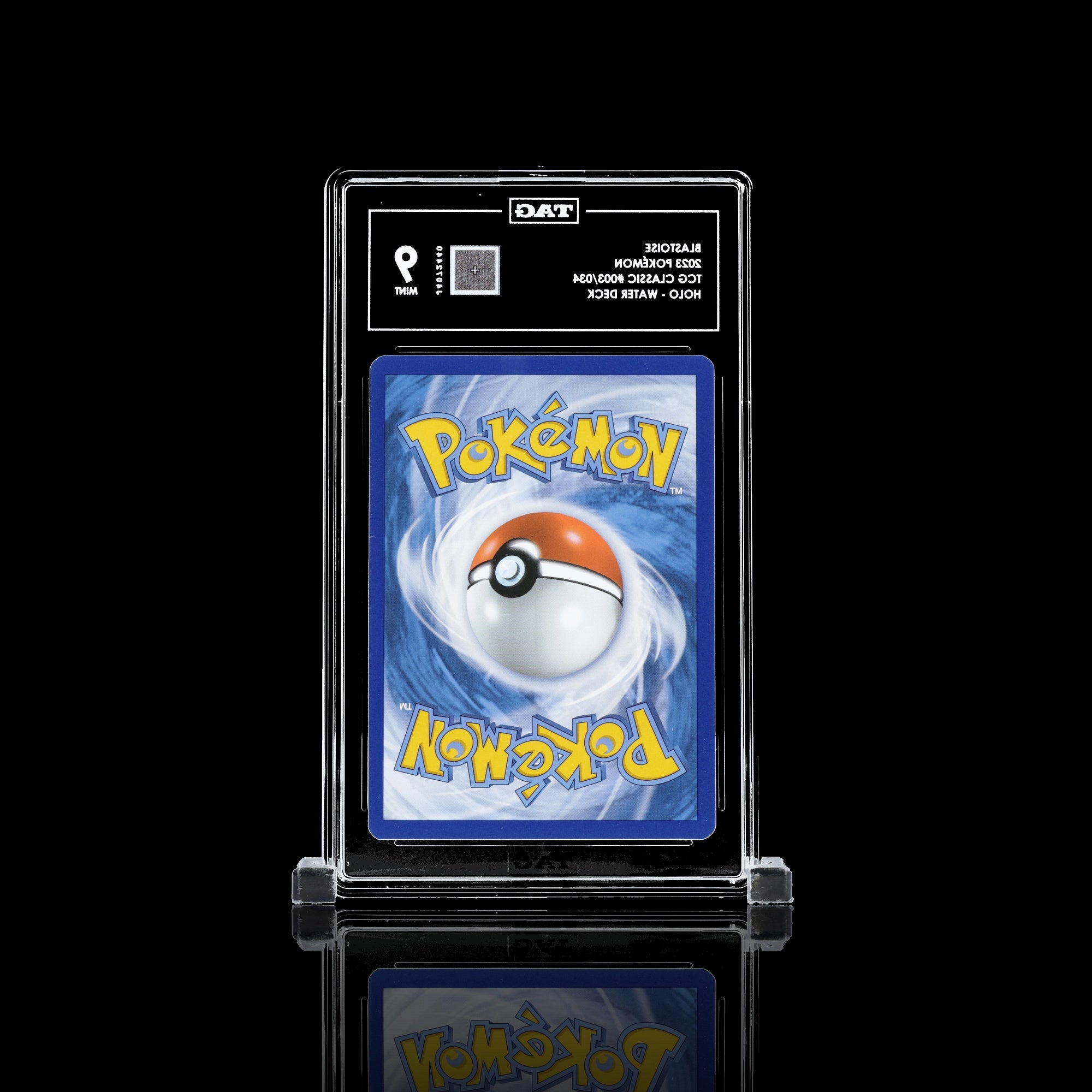 Blastoise - Slab Back