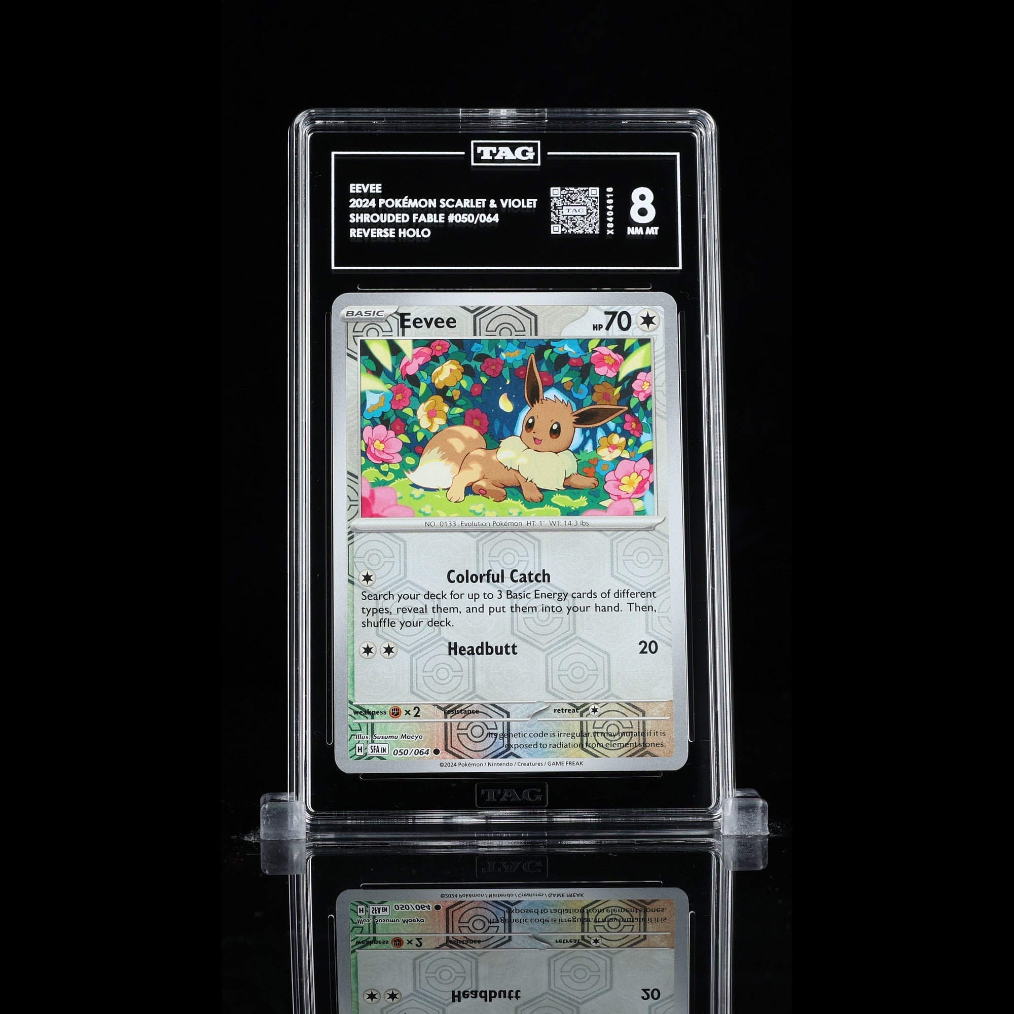 TAG 8.0 NM MT Eevee 2024 Pokémon Pokemon Scarlet & Violet 050_TCGX8404616 - TCG TREASURY