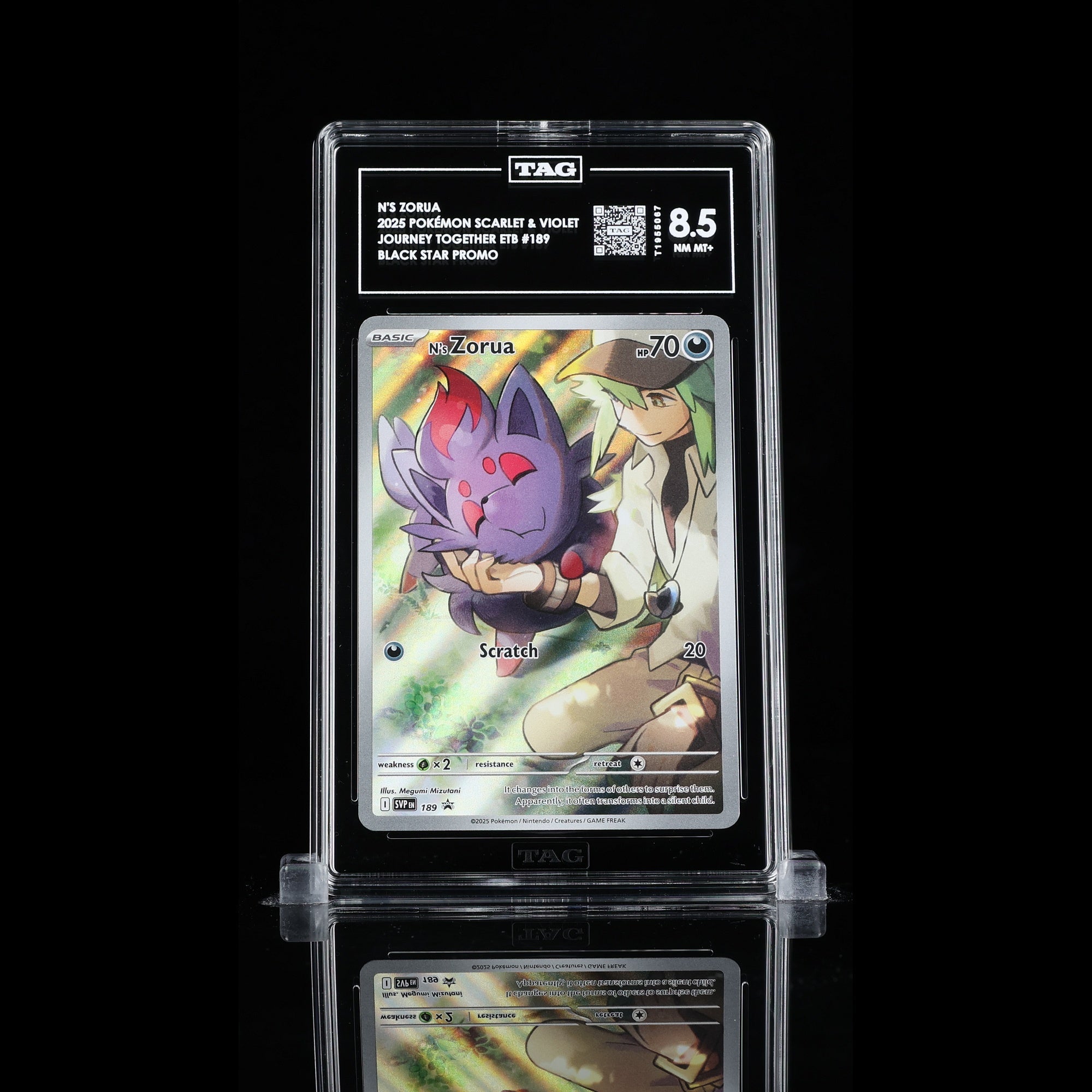 TAG 8.5 NM MT N's Zorua 2025 Pokémon Pokemon Scarlet & Violet Black Star Promos 189 _TCGT1955067 - TCG TREASURY
