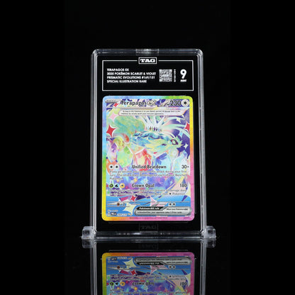 TAG 9.0 MINT Terapagos ex Special Illustration Rare 2025 Pokémon Pokemon Scarlet & Violet 169/131_TCGS7231294 - TCG TREASURY